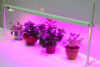Фитосветильник светодиодный "Петромаш LED-30" 60 вт.